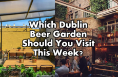 Which Dublin Beer Garden Should You Visit This Week?