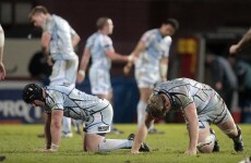 'It could be pretty horrific' - Welsh pundits back Leinster to beat Cardiff