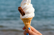 Poll: Do you have plans this weekend?