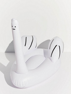 The internet is loving this, eh, unusual blogger pool float called 'Swan Thing'