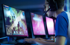 'Therapists were relieved when the WHO listed gaming addiction as a mental health condition'