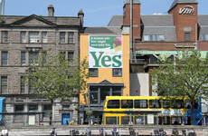 Statements by Varadkar and Harris 'misled' abortion referendum voters, High Court told