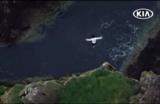 Kia ordered to change ad which showed man jumping off cliff while screaming