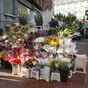 Dublin to get new street stalls