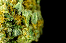 6kg of herbal cannabis marked as 'gifts' seized at Portlaoise postal centre