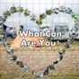 What Can Are You?