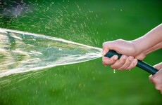 Dublin hosepipe ban in operation and bans in other areas to be announced