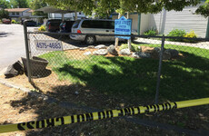 Nine people stabbed at three-year-old's birthday party in US