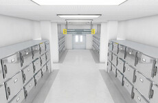 South African woman found alive in mortuary fridge