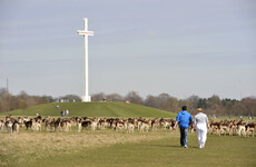 'Minimum amount of water' used in 'essential' cleaning of Pope's Cross - OPW