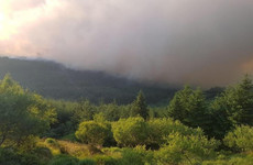 Firefighters tackle large forest blaze on Slieve Bloom