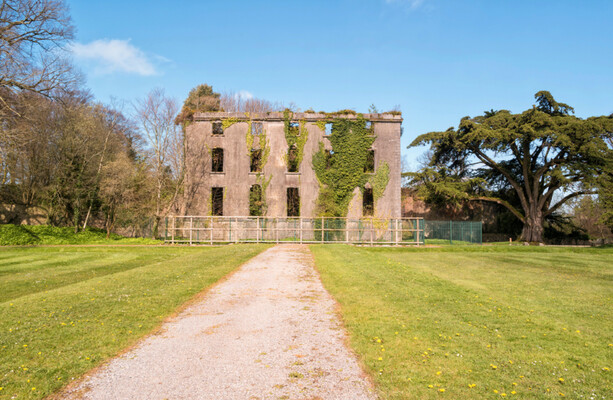 Enclosure in Bramblestown