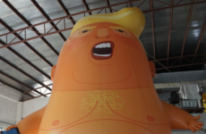 How big is this baby Donald Trump balloon? It's the week in numbers