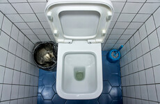 Poll: With water restrictions in place, do you 'let the yellow mellow?'