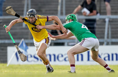 Wexford set up All-Ireland quarter-final with Davy Fitz's native Clare following win over Westmeath