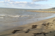 Do not swim notice issued for Claremont Beach in Howth