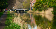 Boy jailed for 12 months as Dublin cyclists blighted by canals menace