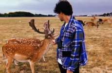 Joe Jonas has been flat out pulling pints in Dublin ahead of tonight's Marlay Park gig