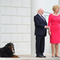 We need an Instagram account devoted to Michael D's dogs Bród and Síoda immediately