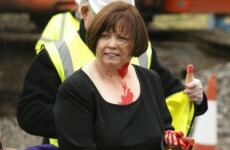 Slideshow: Twitter responds to Mary Harney 'paintgate'