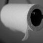 Loo roll - a priority for every man's car?
