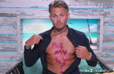 Charlie asked Ellie to be his girlfriend on Love Island, and everyone was cringing