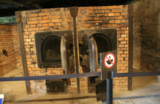 Tourists charged with stealing bricks from an Auschwitz crematorium