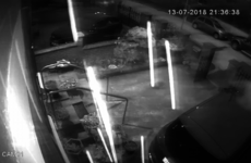 CCTV footage shows moment explosive device was thrown at home of Gerry Adams