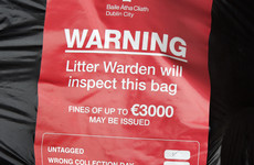 Just 93 prosecutions after 6,000 rubbish bags dumped in Dublin city's 'worst litter blackspot'