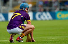 'Wexford are at a crossroads - they need a new direction, something fresh'
