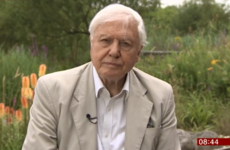 Sir David Attenborough had the most awkward AF interview with the BBC