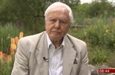 Sir David Attenborough had the most awkward AF interview with the BBC