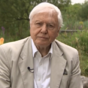 Sir David Attenborough had the most awkward AF interview with the BBC