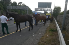 M50 southbound closed after horsebox overturns