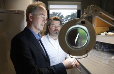 Irish company to produce medical device invented at UL