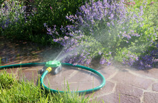 Will Irish Water extend the hosepipe ban? With more dry weather forecast, we won't know until next week
