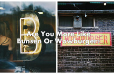 Are You More Like Bunsen Or Wowburger?