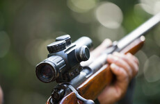 Gun traders say regulations are 'driving law-abiding dealers out of business'