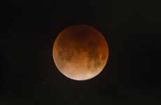 Tonight's blood moon is the longest of the 21st century - here's when you can see it best