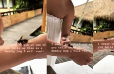 Chrissy Teigen encouraged her baby to kiss a bug and Twitter convinced her it was poisonous