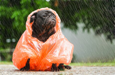 Wet weekend ahead with plenty of showers forecast among sunny spells