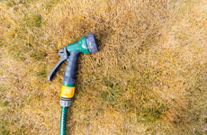 Poll: Would you report someone for breaking the hosepipe ban?