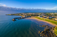 Beachgoers urged not to swim at Dublin beach due to pumping station overflow