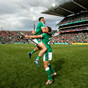 Limerick's victory means we're in for a novel All-Ireland hurling final pairing