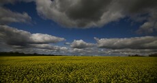Ominous-looking Cloud of the Day