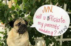 Queer Eye’s Jonathan is officiating the wedding of Doug the Pug's owners