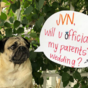 Queer Eye’s Jonathan is officiating the wedding of Doug the Pug's owners