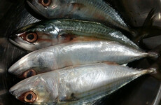 Hundreds of dead fish wash up on beach in Donegal