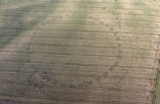 Archaeological discoveries are being made by the dozen this summer - but what happens next?