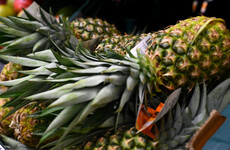 Turkeys, pineapples and artichokes - researchers want to know what Irish people ate hundreds of years ago